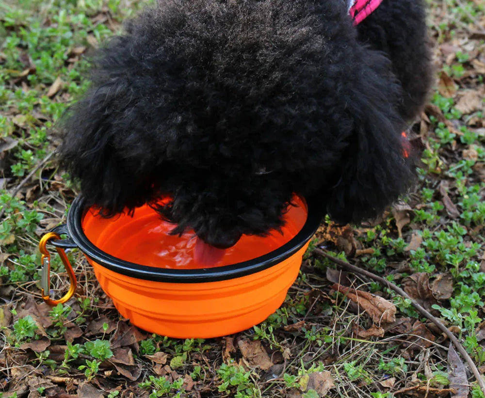 Collapsible Silicone Pet Bowl