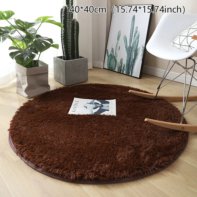 Soft Fluffy Plush Carpet