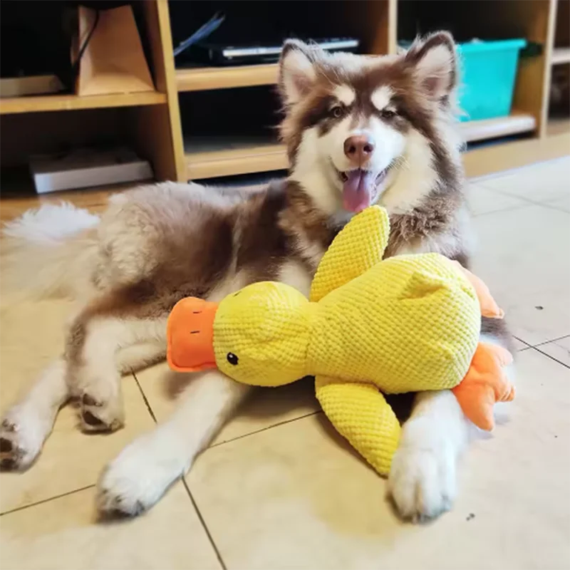 Plush Duck Squeak Toy for Dogs