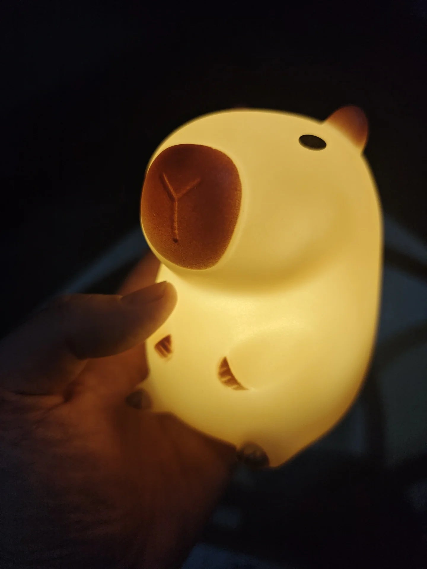 Cute Capybara LED Night Light