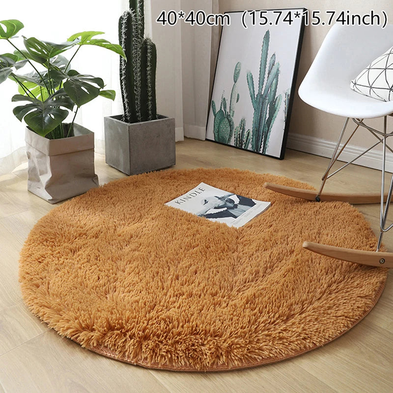 Soft Fluffy Plush Carpet