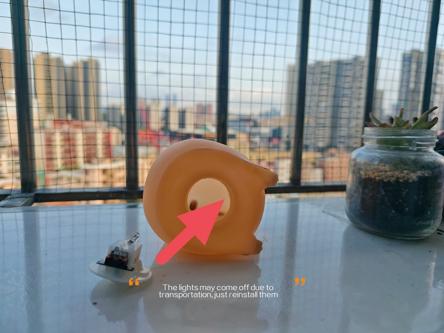 Cute Capybara LED Night Light