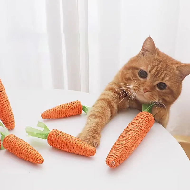 Cat Sound Carrot Cuddle Toy