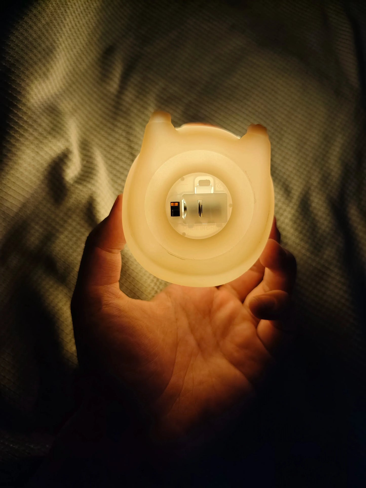 Cute Capybara LED Night Light