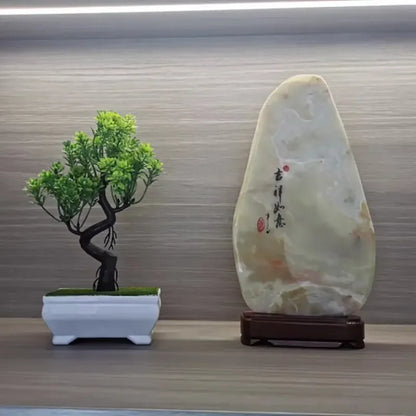Small Bonsai Tree (Fake plant)