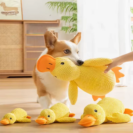 Plush Duck Squeak Toy for Dogs