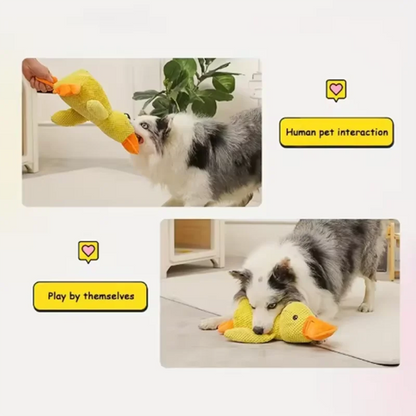 Plush Duck Squeak Toy for Dogs