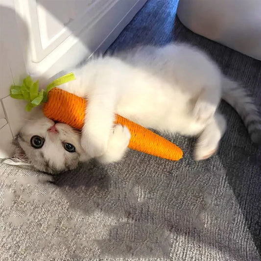 Cat Sound Carrot Cuddle Toy